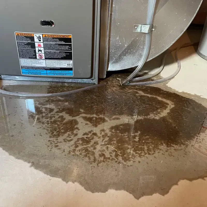 Appliance Leak Cleanup in Lena, IL